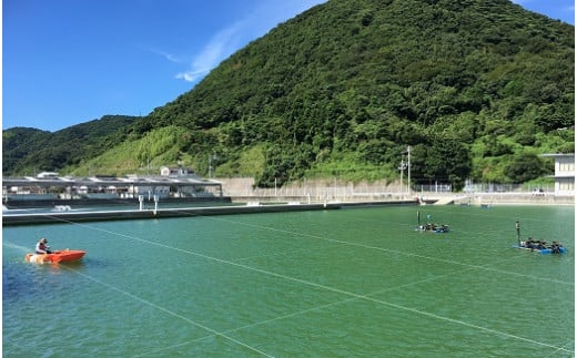 B-16　大活き車えび500g　【山口県光・熊毛地区栽培漁業協会】（１月発送分）