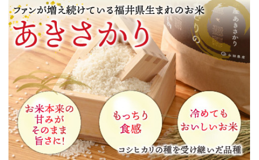 【定期便】 【3ヶ月連続お届け】 あきさかり 5kg×2袋 令和6年産新米 「松のみどりの」