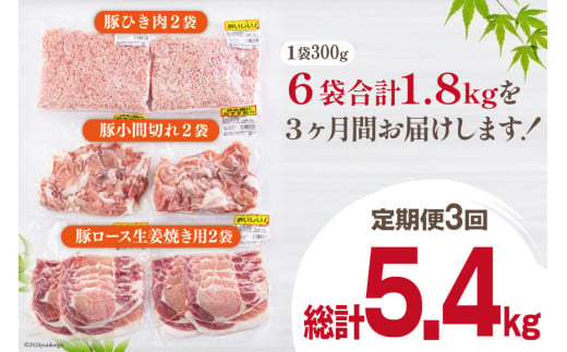 3回 定期便 宮崎県産 豚肉 ３種 セット ひき肉 こま切れ ロース生姜焼き用 小分け 合計5.4kg 各300g×2 [甲斐精肉店 宮崎県 美郷町 31as0067-9gatsu] 冷凍 宮崎県産 豚 肉 送料無料 炒め物 煮込み 豚丼 そぼろ丼 ハンバーグ 豚汁 キーマカレー 詰め合わせ 真空包装