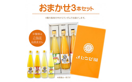 オレンジ園の濃縮ジュース 500ml おまかせ3本入り 3回定期便 希釈用 みかんジュース チューハイ用 ドリンク ジュース 柑橘類 蜜柑 みかん【J00110】