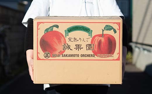 【訳あり】 青森産 完熟 りんご サンふじ （中～大玉） 約15kg 【誠果園】 青森りんご リンゴ 林檎 アップル あおもり 青森 青森県 南部町 三戸 南部 澁川賞受賞 果物 くだもの フルーツ 家庭用 規格外 わけあり ワケアリ 訳アリ F21U-390