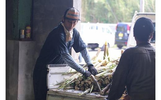 【2025年お届け】大名筍3kg（硫黄島産）＆大名筍3kg（竹島産）の食べ比べセット