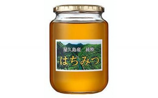 【2025年春採れ先行予約】屋久島産純粋はちみつ 1kg 2本詰め 計2kg