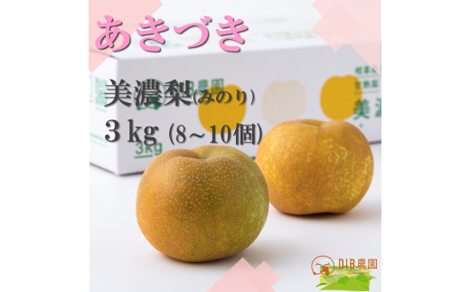 【先行予約・限定10箱】晩生梨「あきづき」３kg(約8~10個)【8月下旬以降お届け】