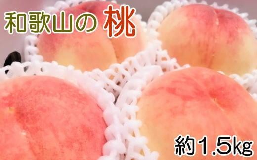 【産直・人気の特産品】和歌山の桃 約1.5kg★2025年6月下旬から8月上旬頃順次発送★【TM92】