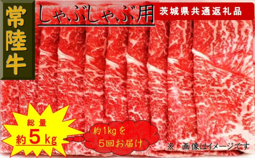 【5か月定期便】【常陸牛】しゃぶしゃぶ用肉 約1kg【定期便】計5回 総量約5kg（茨城県共通返礼品）【 常陸牛 茨城県 日立市 】