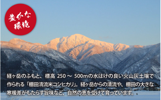 【令和6年産 新米】名水の里越前大野の棚田清流米コシヒカリ5kg×2袋 減農薬 減化学肥料