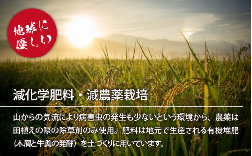 【令和6年産 新米】名水の里越前大野の棚田清流米コシヒカリ5kg×2袋 減農薬 減化学肥料