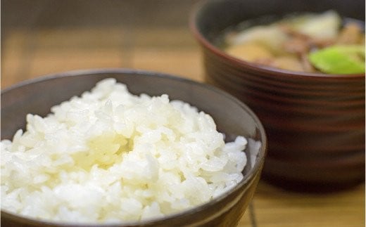 【令和6年産】⽶・⾷味分析鑑定コンクール⾦賞受賞⽣産者が作る 金のいぶき 10kg 有機JAS 玄米 F21B-141