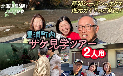 【豊浦町内】サケ見学ツアー（2人用） 【 ふるさと納税 人気 おすすめ ランキング 体験 イベント サケ 産卵 ガイド 見学 2人 北海道 豊浦町 送料無料 】 TYUL018