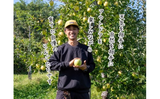 りんご 青森 王林 リンゴ 約 5kg (12～18玉) 青森県 鰺ヶ沢町産 西樹園 フルーツ 果物 果物類 白神山地 林檎 2024