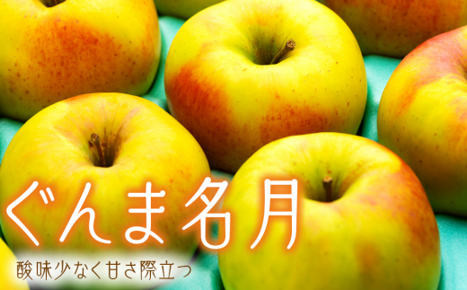 りんご ぐんま名月 4.5kg 14～18玉 贈答用 果物 くだもの フル−ツ 林檎 リンゴ ぐんま名月りんご 信州りんご 旬の果物 旬のフルーツ ギフト 贈り物 プレゼント 長野 長野県 箕輪町　[№5675-1438]