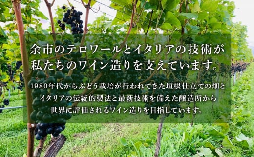 【数量限定】ヨイチヌーヴォー レジェント 2023<キャメルファーム>　余市 北海道 ワイン 赤ワイン ヌーヴォー ヌーボ 国産 キャメル カルディ おすすめワイン 余市のワイン 北海道のワイン 日本のワイン