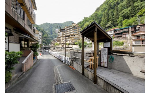 【杖立温泉】旅館ふくみ ペア宿泊券（肥後スイート露天風呂付き和洋室・1泊2食付き）