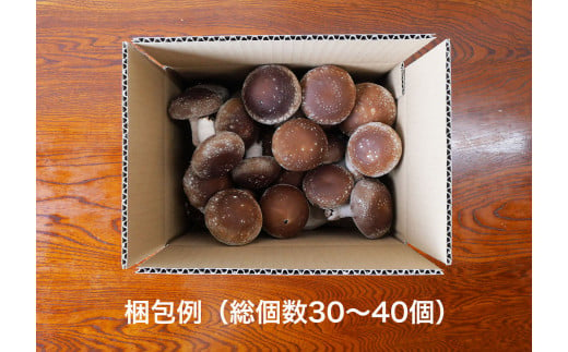 遠野産 菌床 しいたけ 1kg