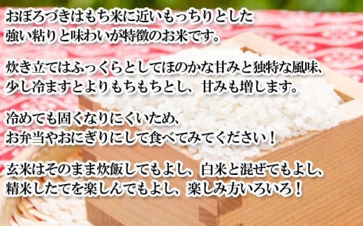 ＜ 予約 定期便 全6回 ＞ 北海道産 希少米 おぼろづき 玄米 5kg ＜2025年10月より配送＞ お米 米 こめ 北海道米