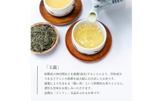 綾部茶 ギフト 6種セット （ 玉露 / 煎茶 / 抹茶 / ほうじ茶ラテ / 抹茶ラテ / ほうじ茶 ）【 贈答 化粧箱 プレゼント 贈り物 仁の緒 お茶 茶 お茶セット 飲み比べ ほうじ茶 お茶葉 茶葉 茶農家 国産 京都 綾部 】