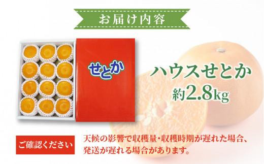 ハウスせとか　約2.8kg【2025年2月上旬～2025年2月下旬配送】