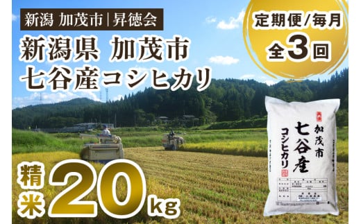 【令和6年産新米先行予約】【定期便3回毎月お届け】新潟県加茂市 七谷産コシヒカリ 精米20kg（5kg×4） 白米 高柳地域産数量限定 昇徳会