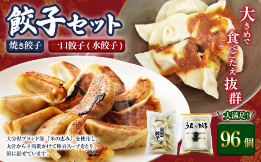 焼き餃子と一口餃子（水餃子）「Cセット」合計96個