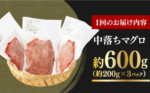 【全6回定期便】長崎県産 本まぐろ中落ち (約600g) 長崎県/長崎県漁業協同組合連合会 [42ZZAC016] マグロ 中落ち まぐろ 長崎 海産物