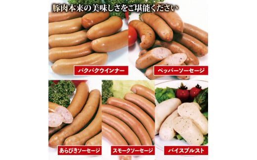 ソーセージ 5種 詰合せセット 720g 無塩せき 国産 添加物 不使用 豚肉 ぶたにく 豚 ぶた ポーク 挽き肉 ひきにく ミンチ ウィンナー 粗挽き 燻製 阿波美豚 ブランド 高級 人気 おすすめ ギフト 贈答品 プレゼント BBQ バーベキュー アウトドア 焼肉 おかず おつまみ 惣菜 鍋 ビール ハイボール 焼酎 お弁当 冷凍 真空パック 小分け 送料無料 徳島県 阿波市 リーベフラウ 