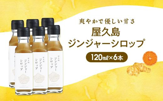 屋久島ジンジャーシロップ 小(120ml)×6本セット