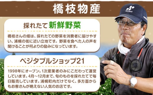 じゃがいも（メークイン）とたまねぎのセット 合計約10kg 野菜 《10月中旬から順次出荷》橋枝物産 北海道 浦幌町