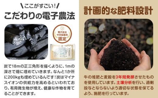 じゃがいも（メークイン）とたまねぎのセット 合計約10kg 野菜 《10月中旬から順次出荷》橋枝物産 北海道 浦幌町