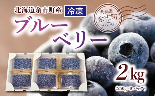 冷凍ブルーベリー 250g×4パック×2箱 北海道産　甘くてジューシー 余市産 ブルーベリー 250g × 4パック × 2箱 合計 2kg 冷凍 北海道産 国産 高い栄養価 抗酸化作用 高血圧予防 フルーツ 果物 小分け パック スムージー ジュース バラ詰め ( 大 ･ 中 ･ 小 ) 不揃い お取り寄せ 北海道 余市町 送料無料