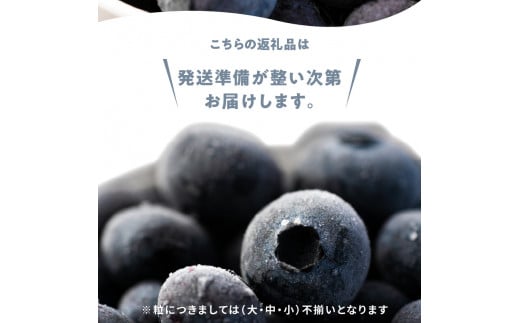 冷凍ブルーベリー 250g×4パック×2箱 北海道産　甘くてジューシー 余市産 ブルーベリー 250g × 4パック × 2箱 合計 2kg 冷凍 北海道産 国産 高い栄養価 抗酸化作用 高血圧予防 フルーツ 果物 小分け パック スムージー ジュース バラ詰め ( 大 ･ 中 ･ 小 ) 不揃い お取り寄せ 北海道 余市町 送料無料