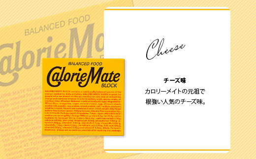 【3回定期便】≪チーズ味≫ カロリーメイトブロック 4本入り 計60箱 ×3回 合計180箱【徳島 那賀 大塚製薬 カロリーメイト チーズ ビタミン ミネラル たんぱく質 脂質 糖質 5大栄養素 バランス栄養食 栄養補給 仕事 勉強 スポーツ 防災 災害 地震 非常食 常備食 備蓄 受験 受験応援 新生活】MS-3-3-cheese