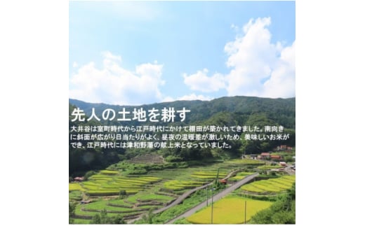 ＜令和6年9月下旬より順次発送＞令和6年産　棚田米コシヒカリ精米10kg【1259300】