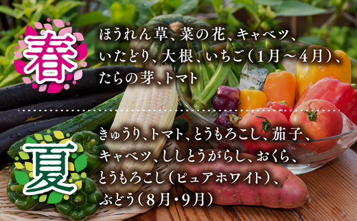 【毎月6回定期便】道の駅「虹の森公園まつの」産直市 新鮮野菜セット6種類以上 ◇