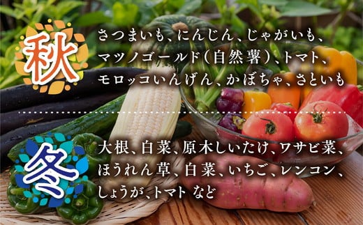 【毎月6回定期便】道の駅「虹の森公園まつの」産直市 新鮮野菜セット6種類以上 ◇