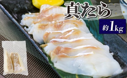  真タラ フィレ 約1kg 鱈 たら 下処理済 刺身 刺し身 柵 たら 鱈 タラ おさしみ 刺し身 切り身  魚介 魚介 フライ 揚げ物 鍋 お鍋 おつまみ 晩酌 海産物 海鮮 大船渡 三陸 岩手県 