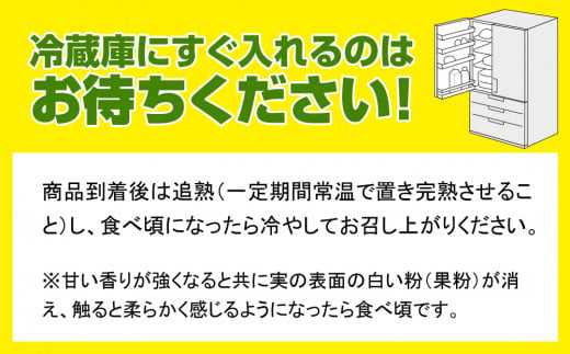 【2025年発送】南風原農園　丹精込めた「キーツマンゴー」1kg