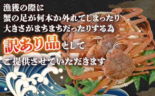 【訳あり】 北海道 豊浦 噴火湾 ズワイガニ 約1.5～2kg（4～6尾） 数量限定 【 ふるさと納税 人気 おすすめ ランキング 魚介類 カニ かに 蟹 ズワイガニ ずわいがに 訳あり 大容量 おいしい 美味しい 新鮮 北海道 豊浦町 送料無料 】 TYUR041