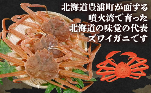 【訳あり】 北海道 豊浦 噴火湾 ズワイガニ 約1.5～2kg（4～6尾） 数量限定 【 ふるさと納税 人気 おすすめ ランキング 魚介類 カニ かに 蟹 ズワイガニ ずわいがに 訳あり 大容量 おいしい 美味しい 新鮮 北海道 豊浦町 送料無料 】 TYUR041