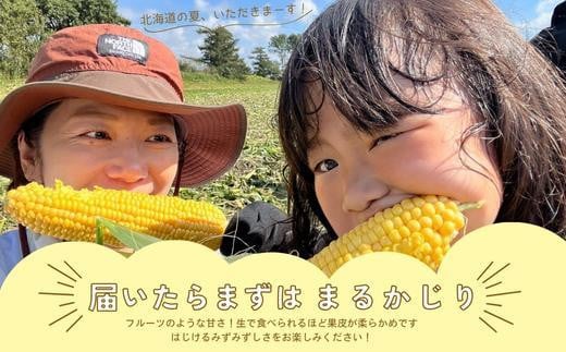 【先行予約】北海道江別産　とうもろこし　恵味ゴールド　(18本)  2024年8月より発送開始