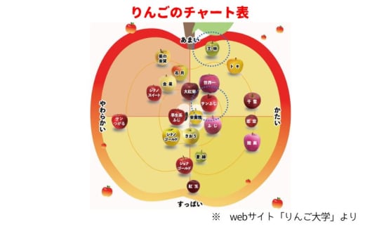 [№5554-0234]りんご 【 3月発送 】 贈答用 サンふじ ・ 王林 詰め合わせ 約 10kg