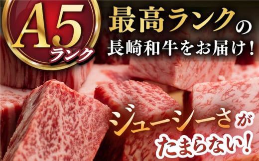 【12/22入金まで年内発送】【 A5ランク 】 長崎和牛 サイコロ ステーキ 130g×2パック ハンバーグ150g×3個 《小値賀町》【有限会社肉の相川】 [DAR002] ハンバーグ サイコロステーキ 和牛 牛肉 黒毛和牛 贅沢 セット あいかわ