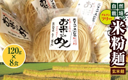 グルテンフリ—  自然栽培の 米粉麺 （ 玄米麺 ）120g× 8食  ｜麺 めん 米粉 米粉麺 米粉めん グルテンフリー お米のめん 半生麺 長野県 松川村