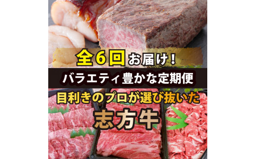 志方牛バラエティセット(定期便全6回)《 定期便 肉 国産 牛肉 牛 国産牛 すき焼き 焼肉 ローストビーフ 焼き豚 お手軽 おいしい お取り寄せ オードブル 志方牛 送料無料 》【2409A00308】