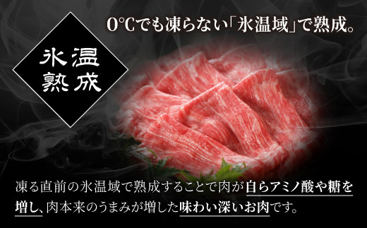 ★氷温Ⓡ熟成★旨味を凝縮させた黒毛和牛ヒレステーキ３００ｇ - 牛肉 牛ヒレ フィレ 赤身 熊本県産 和牛 黒毛和牛 ステーキ すてーき 冷凍 送料無料 人気 おすすめ【価格変更AC】