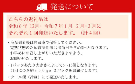 （冷蔵）（定期便） 計4回 【12月・1月・2月・3月】 古都華 300g×2 ／ 丸笑いちご園 今朝摘み フルーツ 苺 イチゴ 果物 新鮮 完熟 朝採り 高級 甘い 奈良県 葛城市