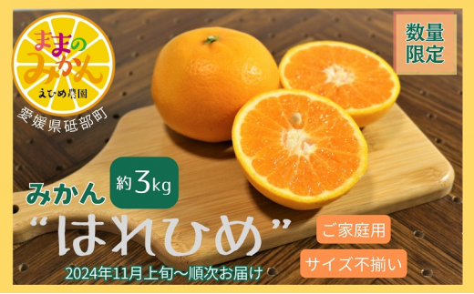 ＜産地直送＞【数量限定】みかん「はれひめ」サイズ不揃い3キロ家庭用 11月上旬頃～順次発送【訳あり ふぞろい 甘い みかん 愛媛】[№5310-0246]