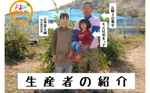 ＜産地直送＞【数量限定】みかん「はれひめ」サイズ不揃い3キロ家庭用 11月上旬頃～順次発送【訳あり ふぞろい 甘い みかん 愛媛】[№5310-0246]