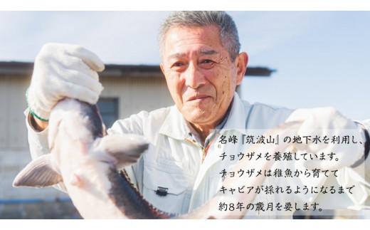 つくばスタージョン スモークミートセット 2個セット 燻製 魚肉 スモーク チョウザメ 国産 料理 おつまみ オードブル スモークミート 茨城県産 茨城[AI004sa]