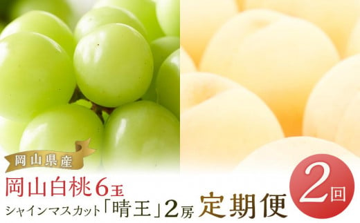 フルーツ 2025年 先行予約 岡山 白桃 6玉 シャイン マスカット 晴王 2房 を2回に分けてお届け！ 定期便 桃 ぶどう 梨 岡山県産 国産 果物 ギフト